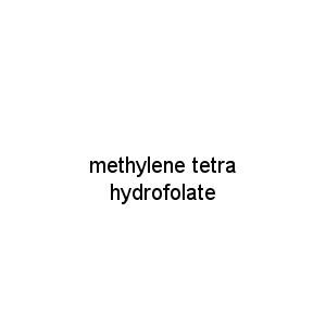 methylene tetrahydrofolate